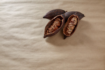cocoa pod and beans on brown paper