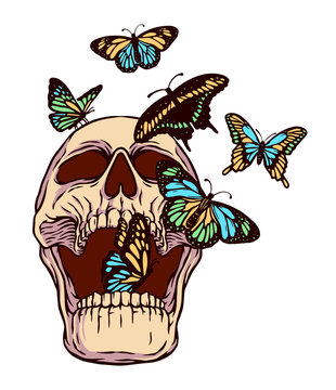 skull and butterfly illustration