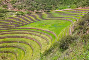 Agricultural Inca circular terraces in Sacred Valley, Moray, Sacred Valley, Peru, South America
