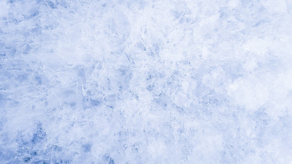 Frosty natural pattern, and fractal effect. Blue color.