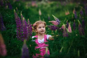 A small cheerful girl with two light tails on her head in a green field with purple flowers. A girl in a pink dress in a lupine field and a bouquet of lupines in her hands. Child's emotions-joy, prank
