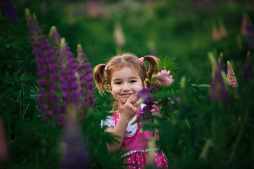 A small cheerful girl with two light tails on her head in a green field with purple flowers. A girl in a pink dress in a lupine field and a bouquet of lupines in her hands. Child's emotions-joy, prank