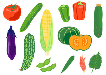 夏野菜のセット