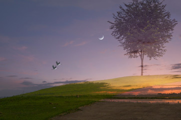 Flying cranes and wanning moon with tree on the hill