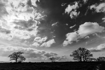 Field over an hill ,tree and deep sky with clouds