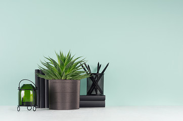Fresh home workplace with style black stationery, books, candlestick, green  aloe in pot in trendy green mint menthe interior on white wood table, copy space.