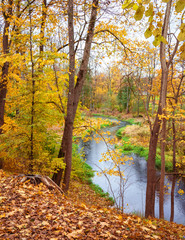 small winding river in the park, autumn natural landscape during the day, view through the trees from above