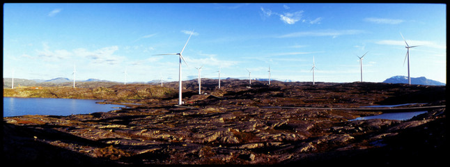 Panoramic View Of Wind Turbines