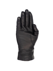 Isolated woman's hand wearing a black leather glove palm up fingers together thumb tucked in