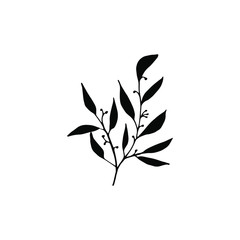 Foliage silhouette on a white background, vector botanical set.
For wedding design, greeting card, banner and logo.