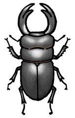 クワガタムシ