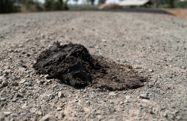 Close up view and copy space of excrement of cow on dirt road and trampled by wheel. Until it is flat and smooth to the ground.