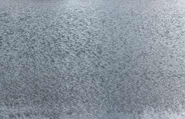 Water surface of a lake with small waves. Texture.