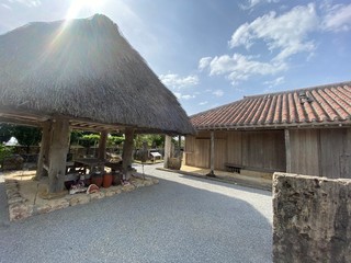 traditional houses in the village of madeira