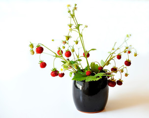 bouquet de fraises