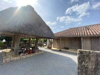 traditional houses in the village