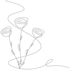 Roses flowers background. Vector illustration