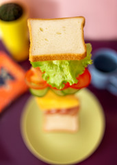Fresh sandwich with flying ingredients isolated on pink background