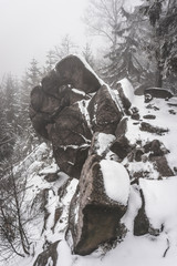 snow covered rocks in winter forest