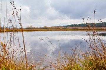 Autumn landscape with water, yellow glass and yellow forest background
