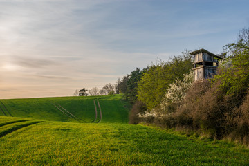 Obraz premium hunting tower on the edge of the forest