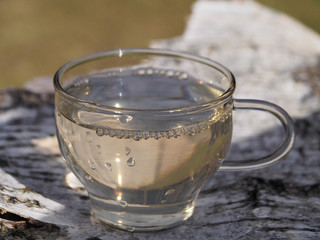 Natural birch juice with bubbles in a transparent сup on the background of birch bark closeup. Natural spring drink with vitamins to strengthen the immune system and proper nutrition