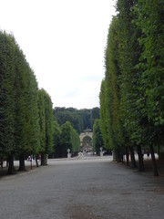 Fototapeta premium road in the park