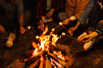 Group of friends holding marshmallow in fire outdoors.