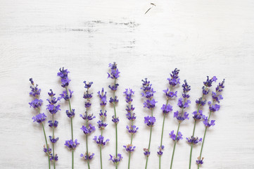 Lavender flowers on rustic white wood