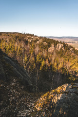 view of rocks and woods