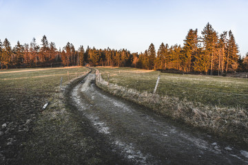 autumn landscape with road at goldden hour