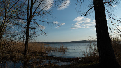 spring nature trees blooming flowers pine lake Russia middle lane water reservoir gardens sky clouds