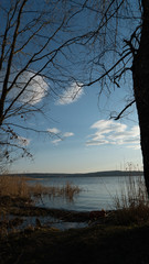 spring nature trees blooming flowers pine lake Russia middle lane water reservoir gardens sky clouds
