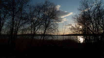 spring nature trees blooming flowers pine lake Russia middle lane water reservoir gardens sky clouds