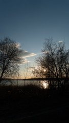 spring nature trees blooming flowers pine lake Russia middle lane water reservoir gardens sky clouds