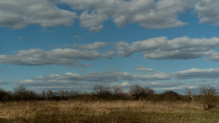 spring nature trees blooming flowers pine lake Russia middle lane water reservoir gardens sky clouds