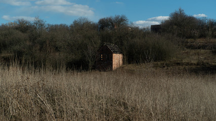 spring nature trees blooming flowers pine lake Russia middle lane water reservoir gardens sky clouds