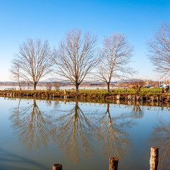 Fototapeta na wymiar Trasimeno lake in 