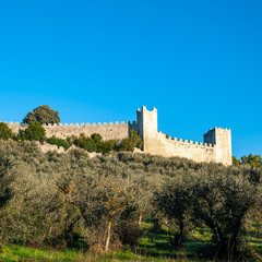 Obraz premium Castiglione del Lago, Umbria, Italy. Medieval village that rises on a promontory on Lake Trasimeno. View of the fortress of the lion and the field of olive trees below.