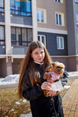 A girl trying to protect small dog from a coronavirus with a medical gauze white mask on the street in sunny spring day. Protection against disease during epidemics and pandemics. Covid-19 in Russia