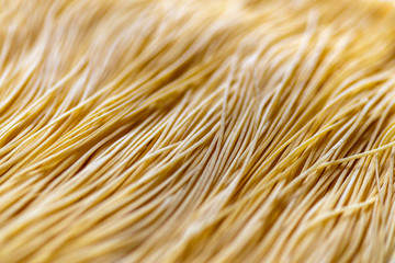 Italian uncooked dry pasta Maccheroncini di Campofilone