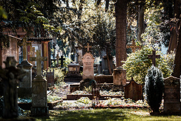 Friedhof in Bonn