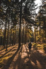young woman in the forest 