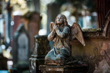 Friedhof in Bonn