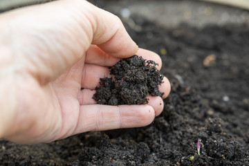 Anpflanzen - Erde in der Hand 