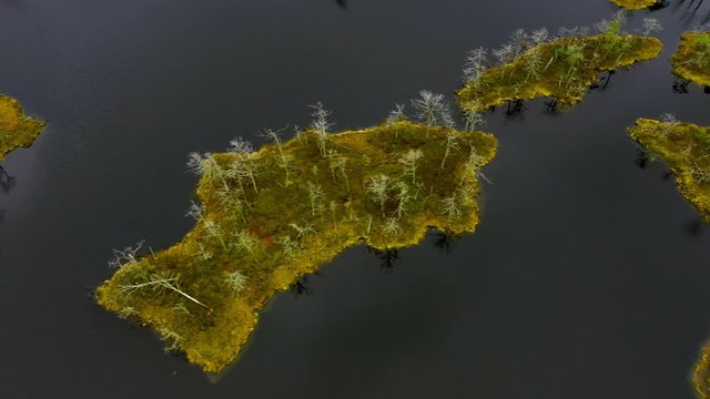 Aerial view on swamp lake in Latvia, National park nature from above