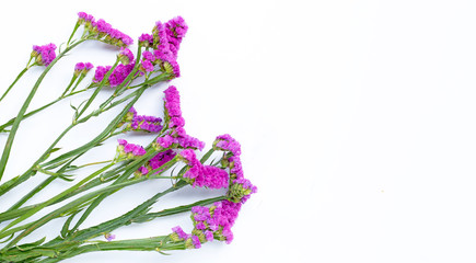 Static flowers on white background.
