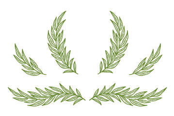 vintage olive branches, twig and wreath set