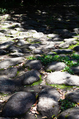 こもれびの中の石畳