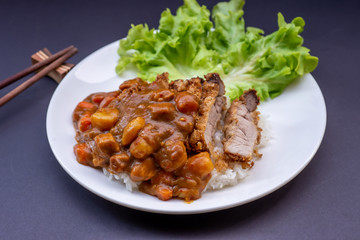 Rice with deep fried pork and curry in Japanese style. soft focus